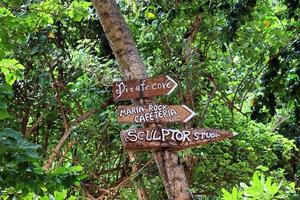 belle impressioni del paesaggio tropicale nel paradiso delle isole seychelles foto