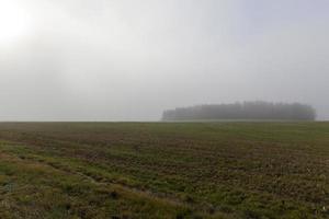 paesaggio autunnale, campo foto