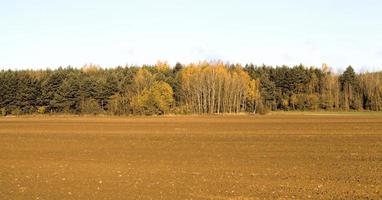 paesaggio autunnale, campo foto