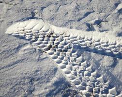 strada innevata, primo piano foto