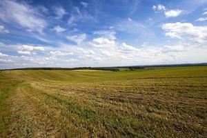 campo agricolo e cielo foto