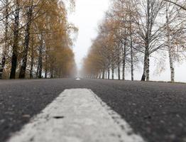 strada asfaltata, autunno foto