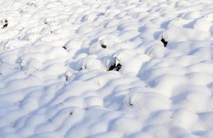 cumuli di neve, primo piano foto