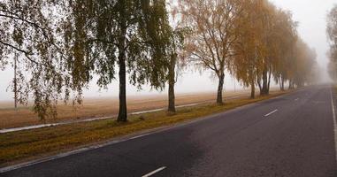 la strada d'autunno foto