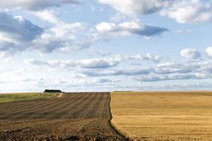 un campo agricolo foto