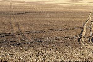 tracce di pneumatici per auto su una strada sabbiosa foto