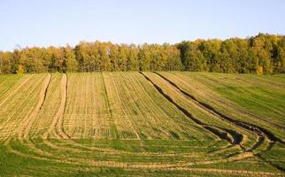 campo agricolo stagione autunnale foto