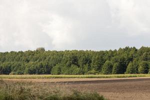 campo agricolo arato foto