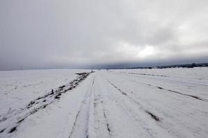 solchi sulla strada foto