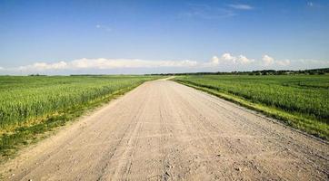 ampia strada sabbiosa foto