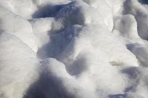 neve bianca in inverno foto