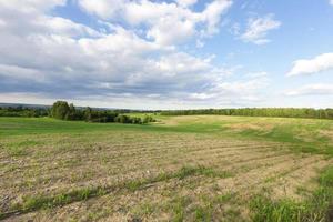 campo agricolo e forestale foto