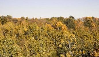 paesaggio di bella natura reale foto