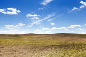 campo agricolo e cielo foto