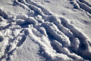 pista su una strada invernale foto