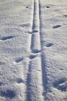 stretta strada del villaggio con tracce di ruote di trasporto nella neve, inverno nella natura foto