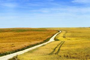 bellissimo paesaggio, strada foto