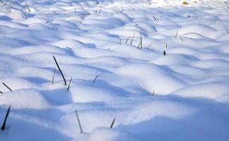 dopo la nevicata, primo piano foto