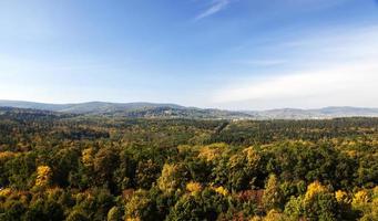 foresta in autunno foto