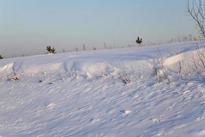 campo innevato da vicino foto