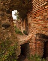 la foto di parte delle strutture. rovine della fortezza