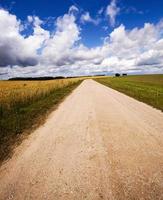 strada di campagna senza asfalto foto