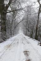 la strada è innevata nella stagione invernale foto