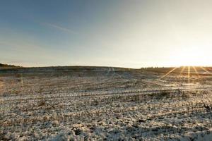 dopo la nevicata, campo foto