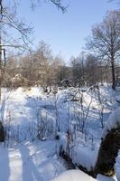 congelato in inverno il fiume foto