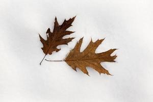 cumuli di neve, primo piano foto