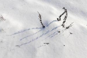 la stagione invernale con tempo freddo e molta neve foto