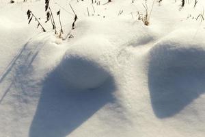 erba in grandi cumuli dopo nevicate e bufere di neve, l'inverno foto