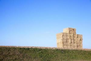 pila di paglia di grano foto