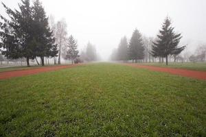 parcheggiare in autunno foto