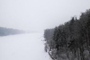 foresta in inverno foto