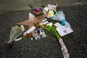 los angeles, 27 febbraio - corona commemorativa presso la stella di leonard nimoy sulla hollywood walk of fame all'hollywood blvd il 27 febbraio 2015 a los angeles, ca foto