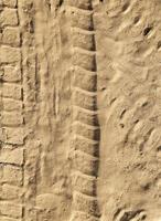 tracce sulla sabbia foto