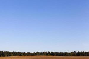 paesaggio con cielo blu foto