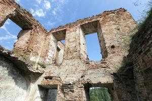 rovine del palazzo ruzhany foto