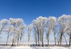 stagione invernale. foto