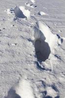 cumuli di neve in inverno foto