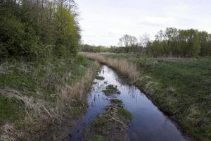 piccola palude, lago foto