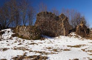 rovine, bielorussia, inverno foto