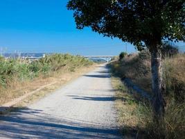 strada sterrata solitaria con vegetazione secca ai lati foto