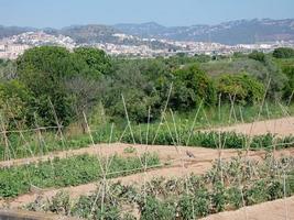 giardini urbani molto vicini alla città di barcellona nella regione del baix llobregat. foto