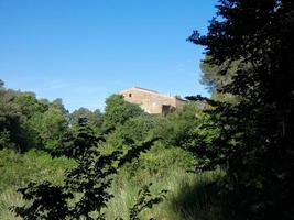 vegetazione lussureggiante nelle montagne di collcerola pulmon della città di barcellona e dintorni, spagna foto