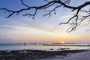 silhouette del ramo di un albero morto e turisti che si rilassano e scattano foto tramonto sulla spiaggia del tramonto tropicale a koh larn beach. paesaggio di tramonto colorato che brilla sulle acque arancioni luminose dell'oceano.