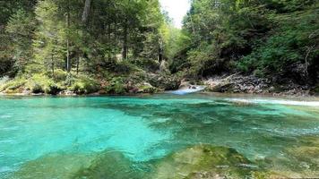 nebbia mattutina nella foresta - bellissimo paesaggio - disegno prato nella foresta tropicale foto