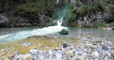 nebbia mattutina nella foresta - bellissimo paesaggio - disegno prato nella foresta tropicale foto