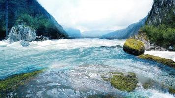 nebbia mattutina nella foresta - bellissimo paesaggio - disegno prato nella foresta tropicale foto